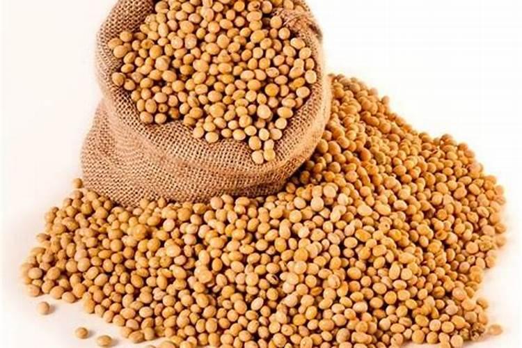 大豆结荚打硼钼肥好吗