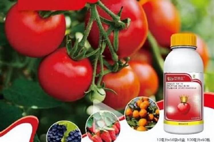 果实到了上色期,用什么类型的肥料能促进果实上色,还不影响口感？