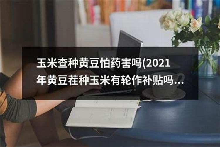 钾含量较高的食物有哪些