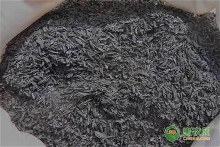 烧烤用的碳能养花吗？