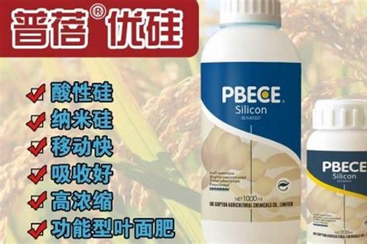 什么东西可以当肥料养花,养花没有肥料,用什么代替