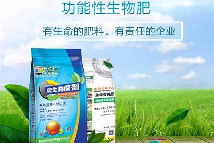 甘蔗用什么肥料最好