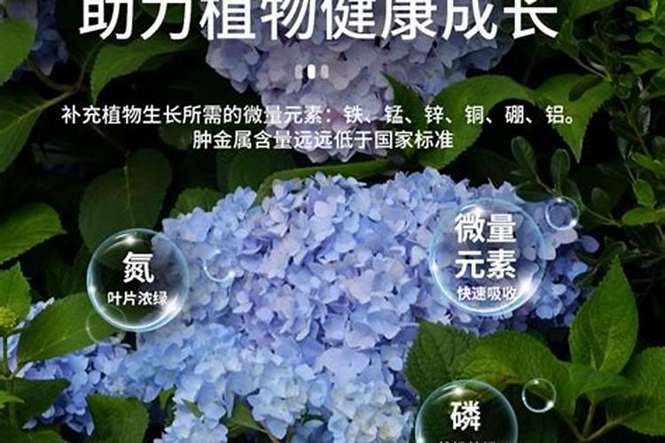 叶面肥喷施禁忌