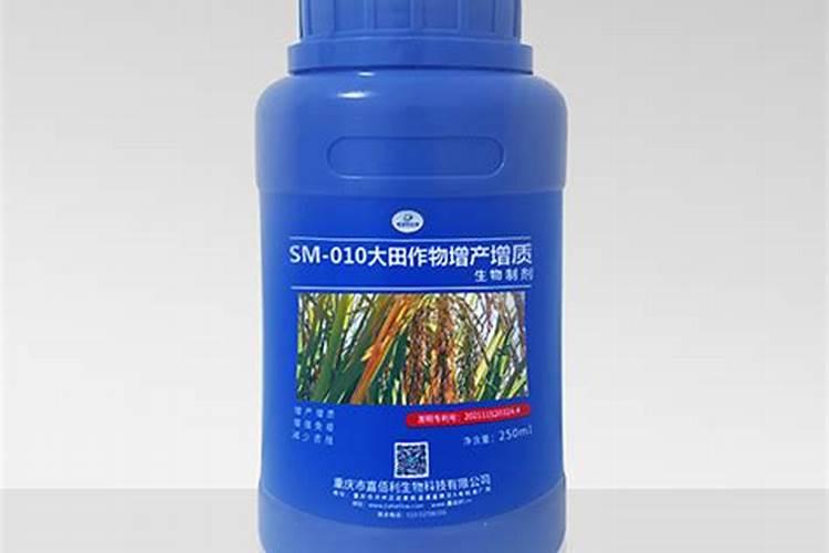 谷子叶面肥啥时候喷好 用什么叶面肥增产