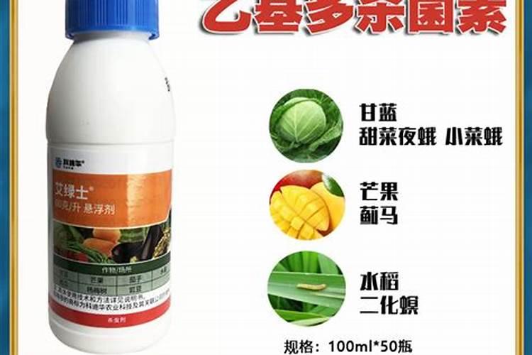 三月份种草莓要用大鹏吗