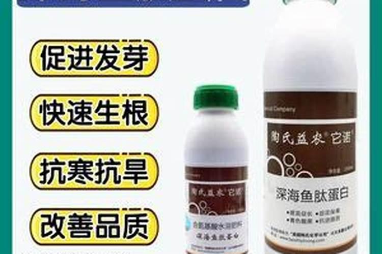 化肥厂的污泥属于危废吗