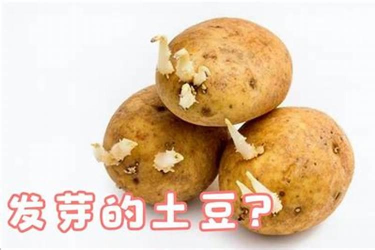 土豆开花可以用尿素吗