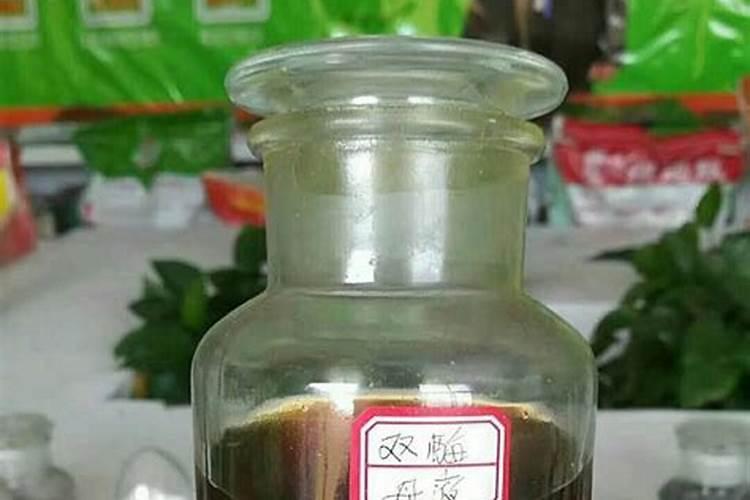 酶保姆–生命酶肥？