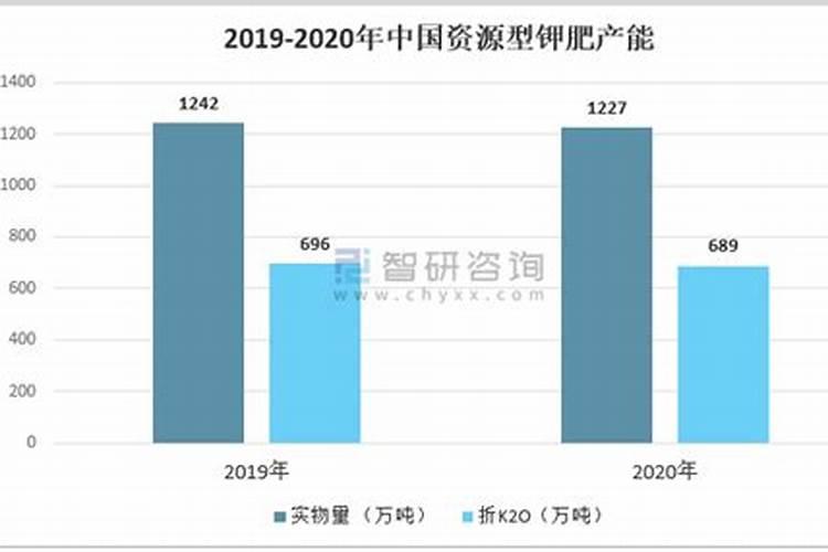 天园8703玉米怎么样抗大小斑病吗