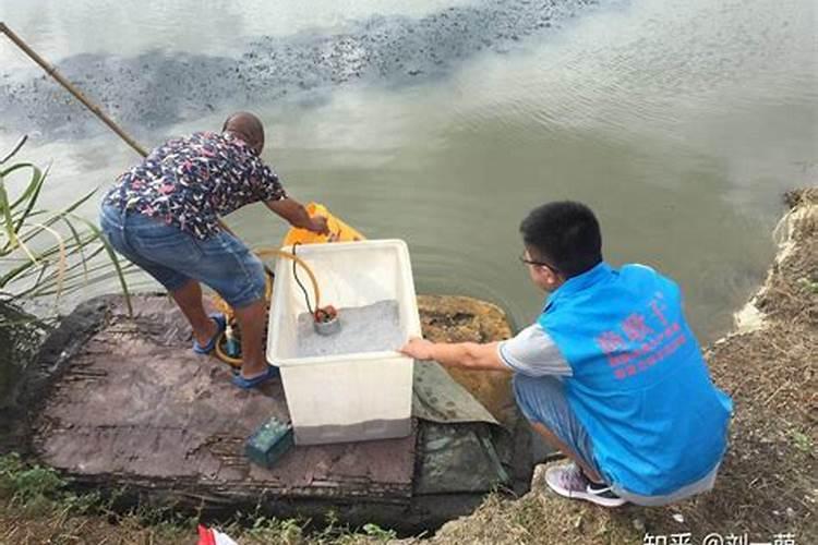 什么是硅肥？