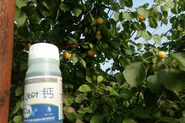 edta螯合钙与edta钙钠一样吗