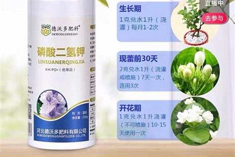 枇杷树釆完果后每颗树施多少要素,和磷肥？