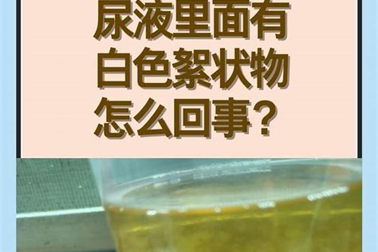 水溶肥可以不兑水就秒吗？