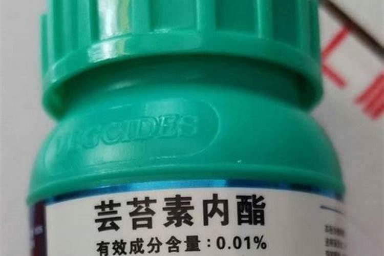 花生打芸苔素最佳时间