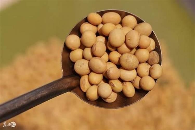 种豆最好的肥料是什么？