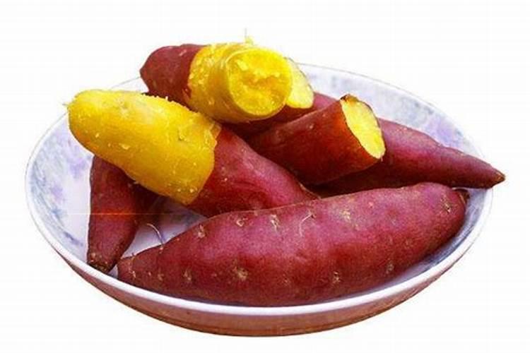 红薯施肥技术 红薯怎么施肥