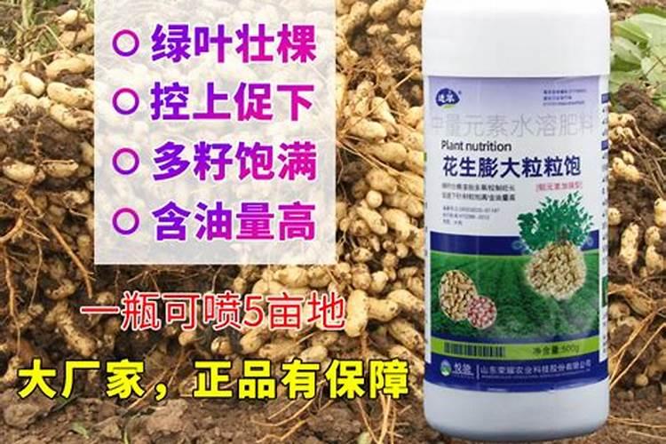 花生开花期要施什么肥
