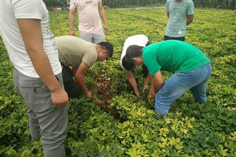1吨浇灌砂等于多少方
