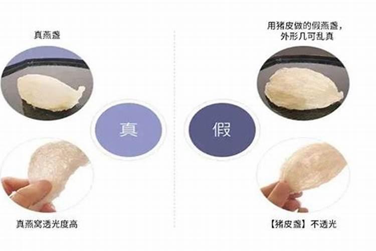 有哪些途径可以将鱼蛋白过滤出来