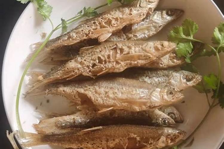 什么是鱼蛋白肥料,鱼蛋白肥料作用及使用方法