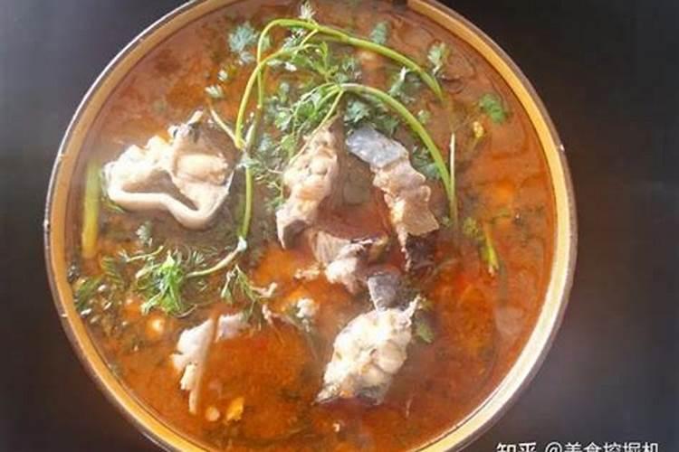 鱼蛋白肥料这么火,怎么用