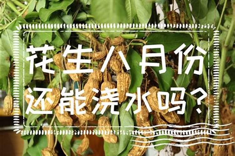草莓如果不浇水能活几天？