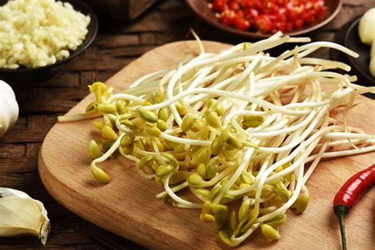 豆芽的营养价值及功效