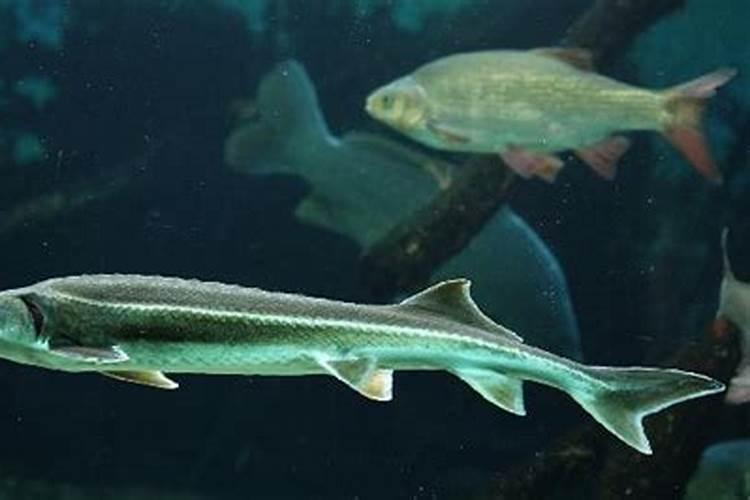 怎样让睫毛变长变密