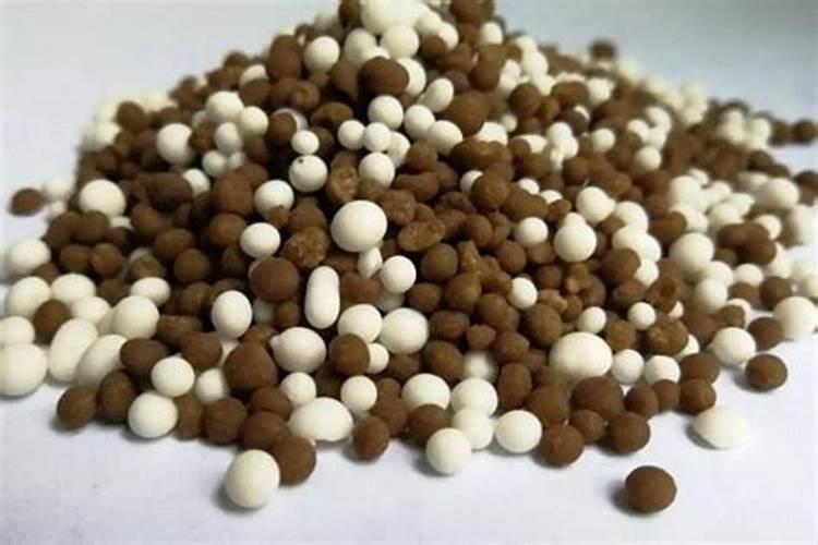 蔬菜盆栽简单种植方法 盆栽蔬菜的播种方法