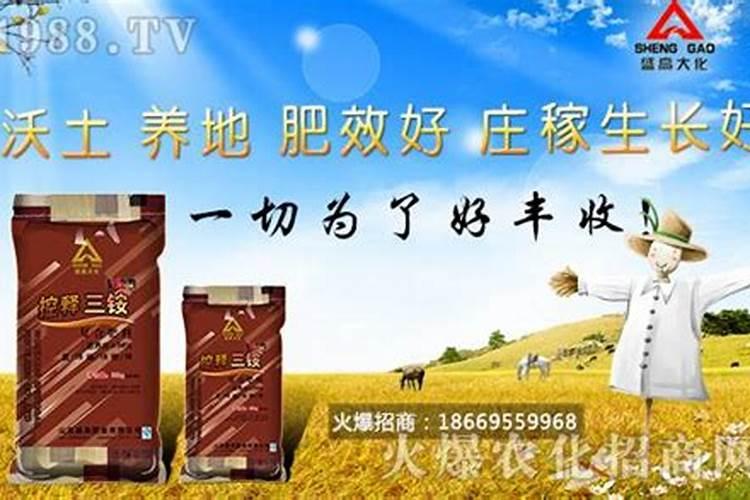 豆饼肥水发酵多少天可以浇花 豆饼肥水兑水的比例是多少