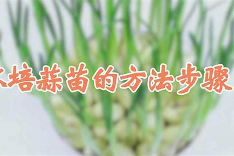 蝴蝶兰施什么肥开花多