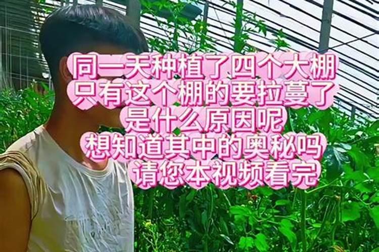 三色水果魔方怎么做如何做好吃