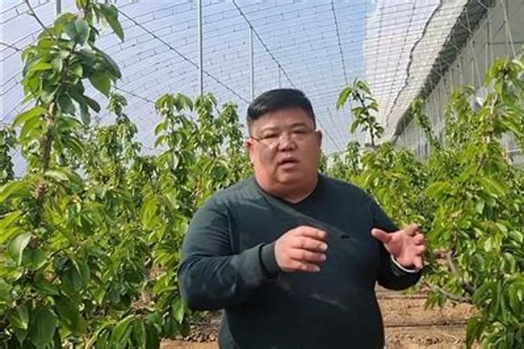 一般施肥多少天能吸收(化肥施入土壤后多久被吸收)