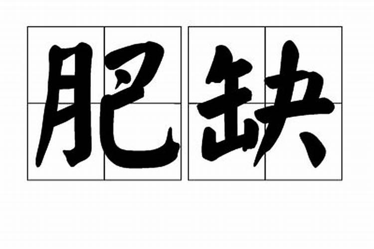 西红柿发酵后可以浇花吗西红柿发酵水可以浇什么花