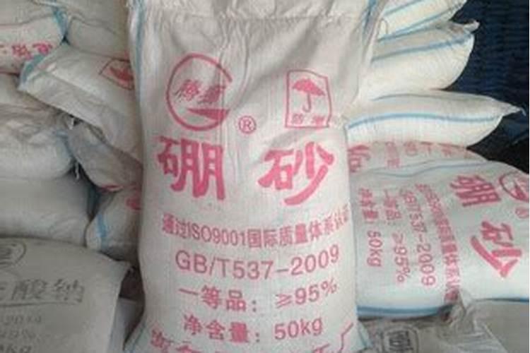 火龙果适合什么季节进行种植？怎么管理才能提高产量？