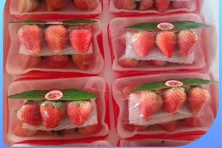 种植大白菜可以用黄豆作肥料吗？