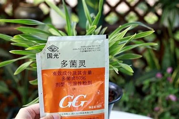 14一羟基芸苔素甾醇与多菌灵浸种万以吗