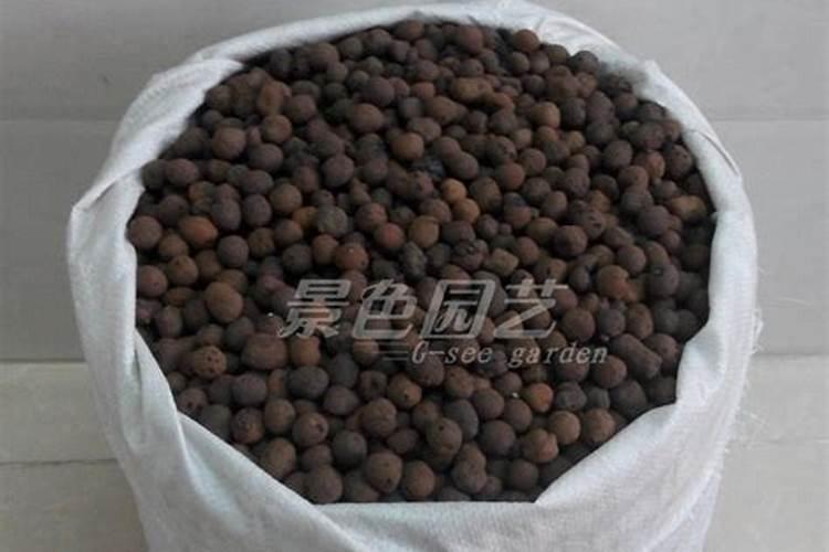 兰花能用金钱树的肥吗？