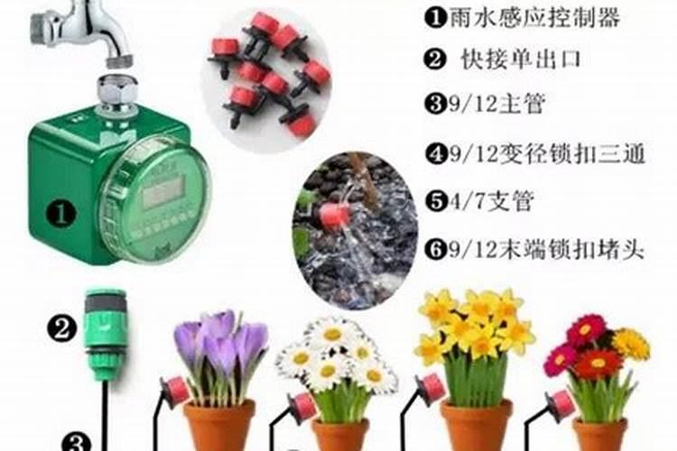盆栽花怎样用钾肥(钾肥浇花)