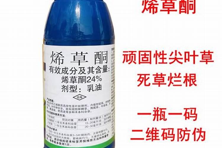油菜耐寒零下几度