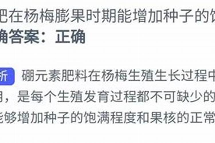 硼肥在杨梅膨果时期能增加种子的饱满程度 对吗 硼肥在杨梅膨果时期能...
