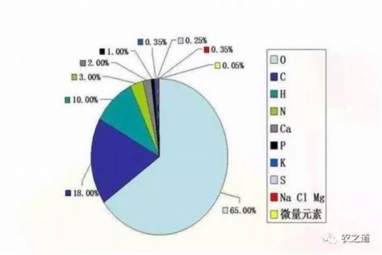 大、中、微量元素的区别