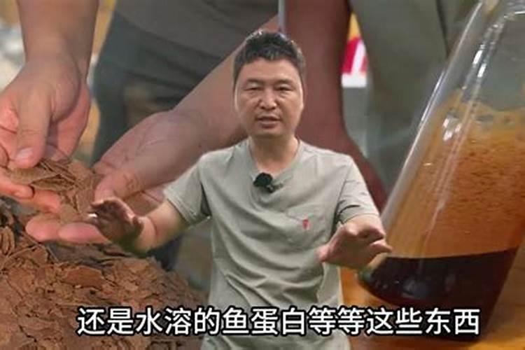 佛手瓜用什么肥料最好