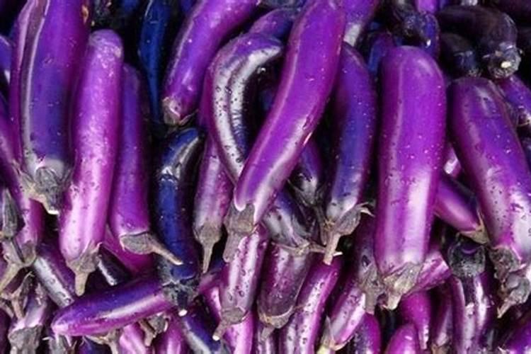 种茄子用什么肥料比较好？