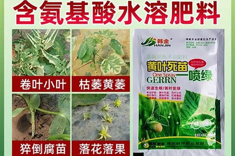 硫酸钾肥和lu氯酸钾肥有什么区别