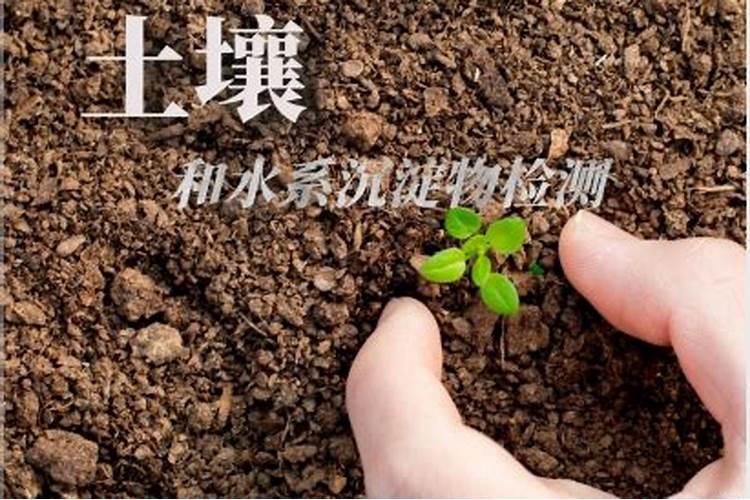 什么是功能性肥料