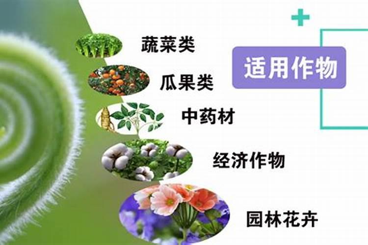农用甲壳素一亩用量多少