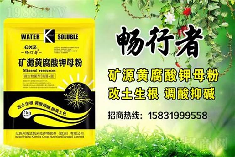 枇杷打不打叶面肥？如果打怎样打