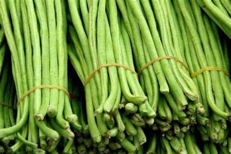 豆角哪时候施肥比较好豆角什么时候施肥