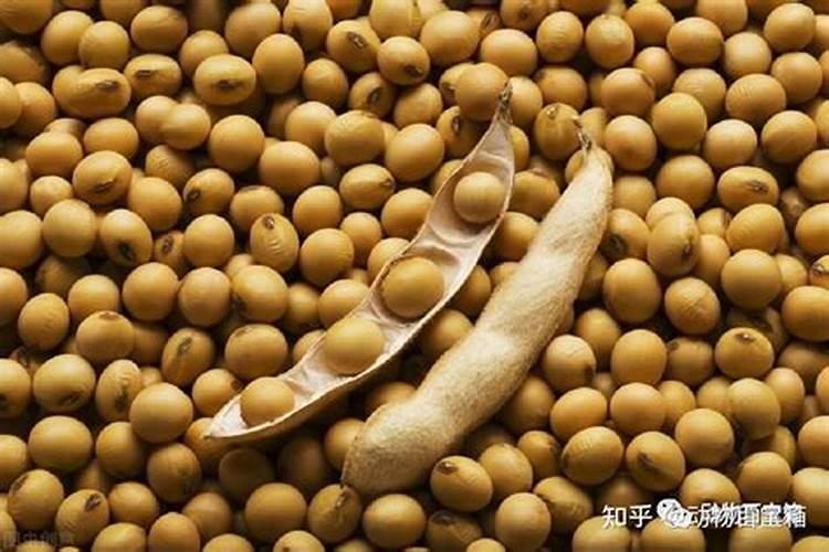 如何对农作物科学施用硼肥？